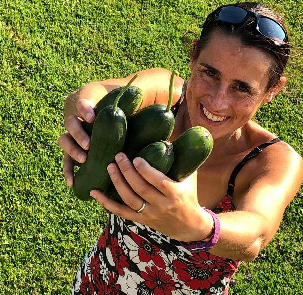 fresh grown veges - cucumber