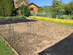 garden ready for planting