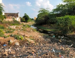 northern india - rubbish