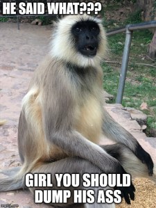india monkey meme