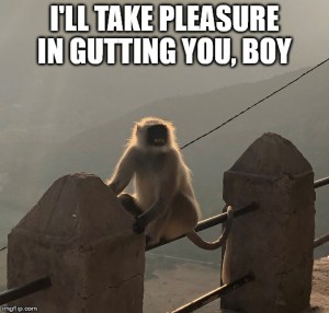 india monkey meme