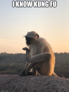 india monkey meme