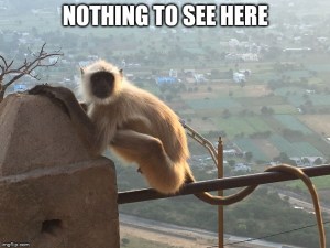 india monkey meme
