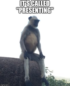 india monkey meme