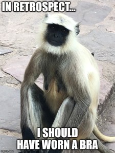 india monkey meme