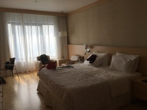 Hotel room, le meridien, Delhi