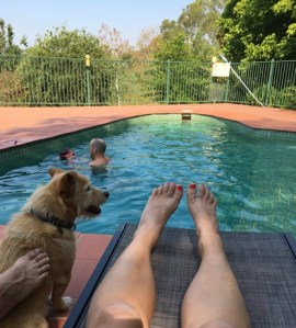 Australia - backyard pool