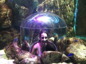 Bangkok OC (Oriental City) - aquarium