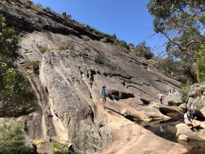 Grampians Elephants Hide