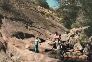 Grampians Elephants Hide