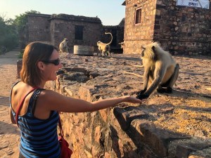 Feeding monkeys in India