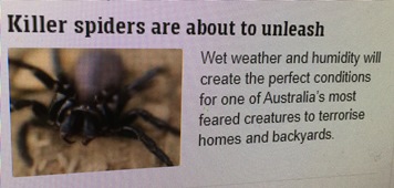 news articles - spiders