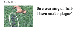 news articles - snakes