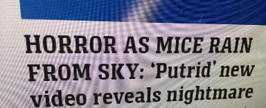 news articles - mice rain