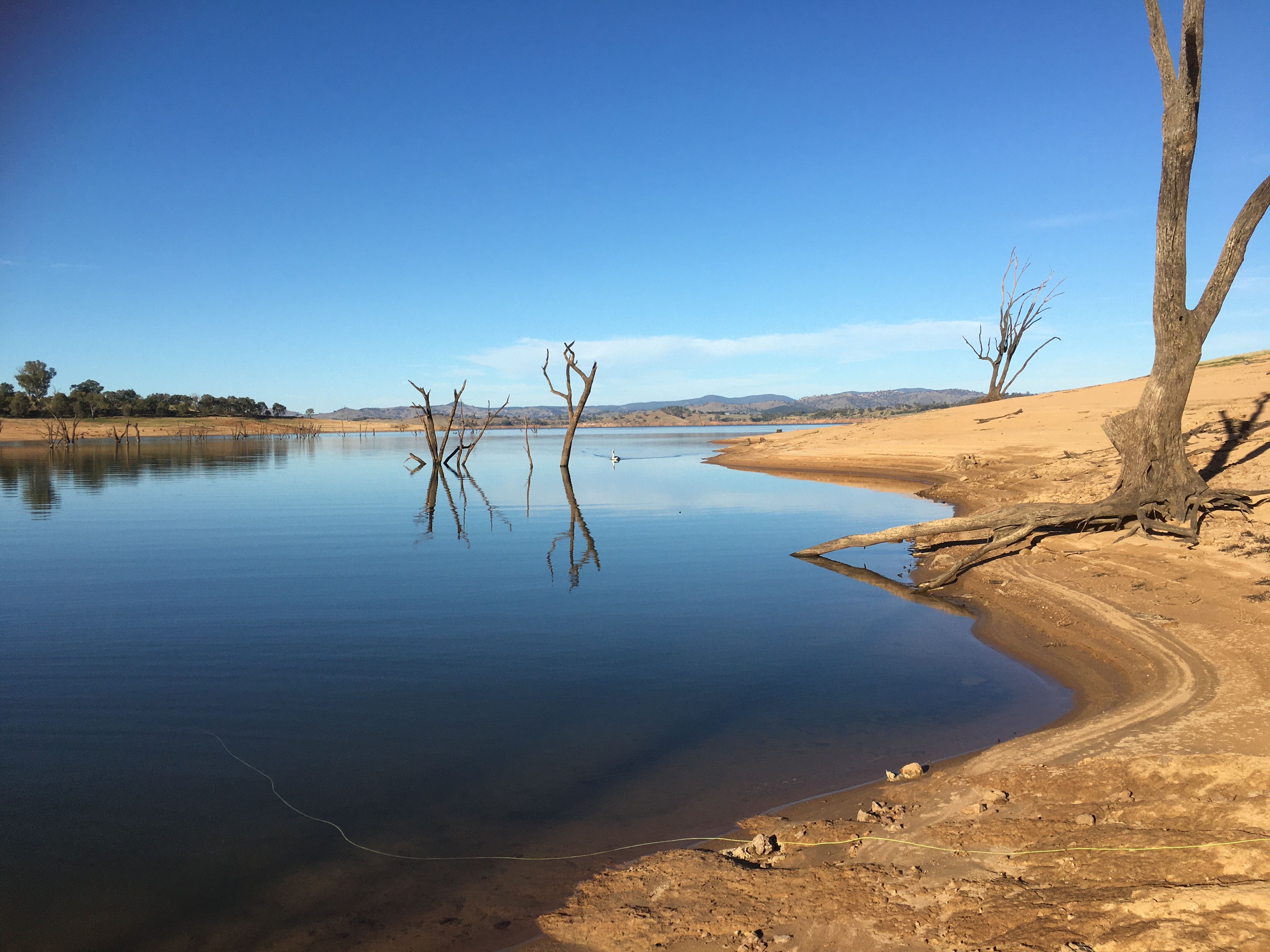 Albury Weir