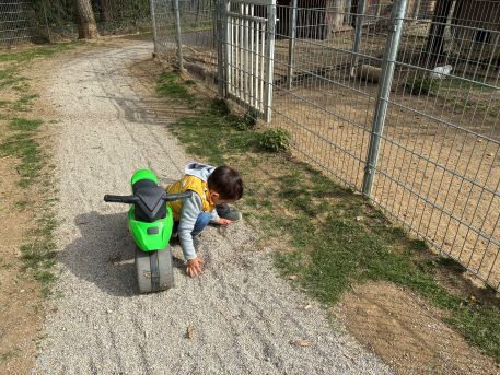 Petting Zoo